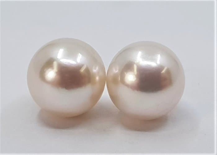 Stud earrings - 14 kt. Yellow gold - 8x8.5mm Akoya Pearls
