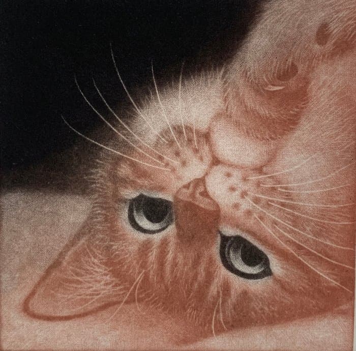 'Peace' - Signed and numbered by the artist 16/50 ! - Emi Satō 佐藤恵美 (b 1973) - Japan (No Reserve Price)