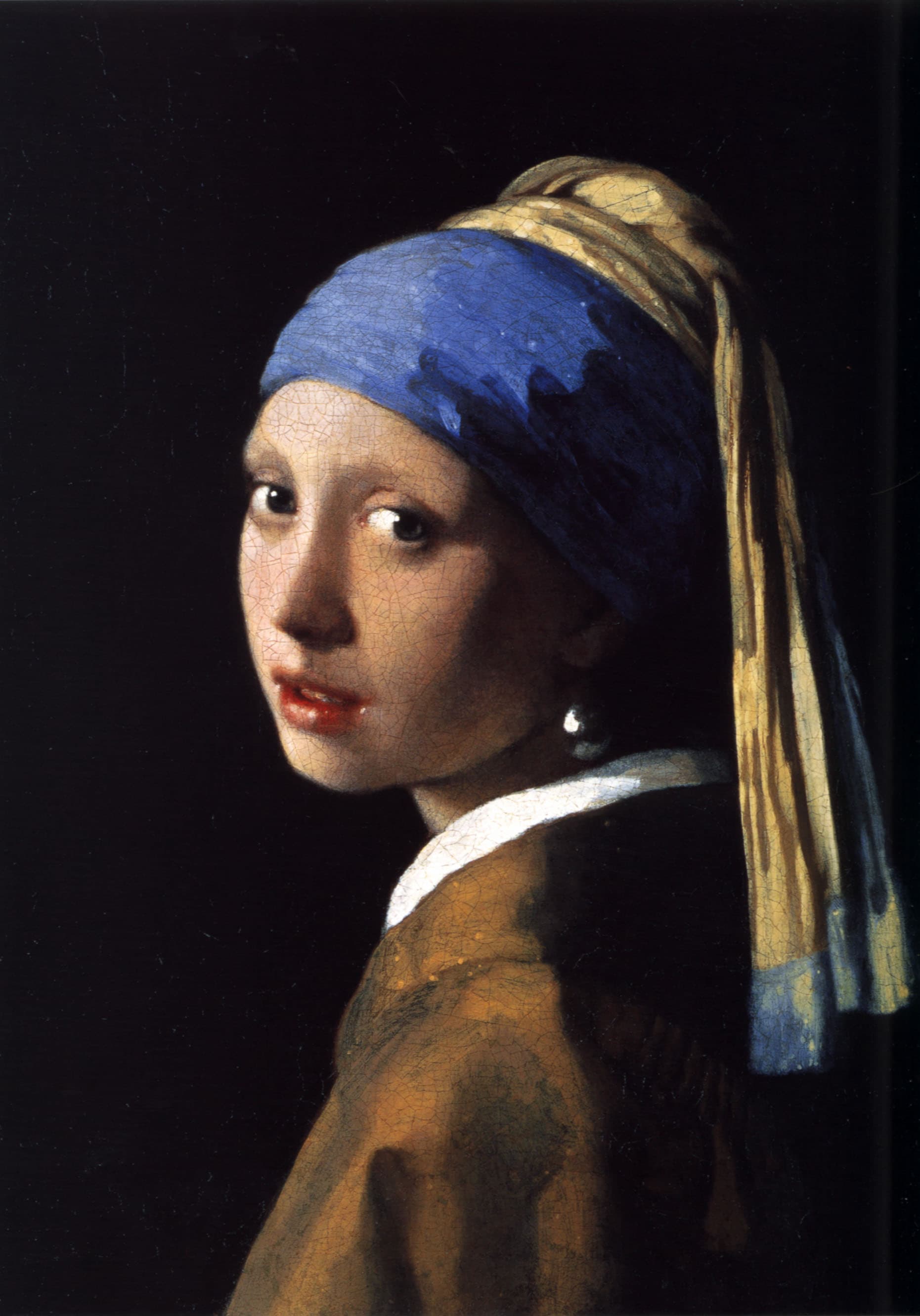 Het meisje met de parel (Girl with a Pearl Earring)
